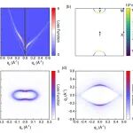 Npj Comput. Mater. : 新兴交磁体：解锁高度各向异性自旋等离激元铁谷半导体