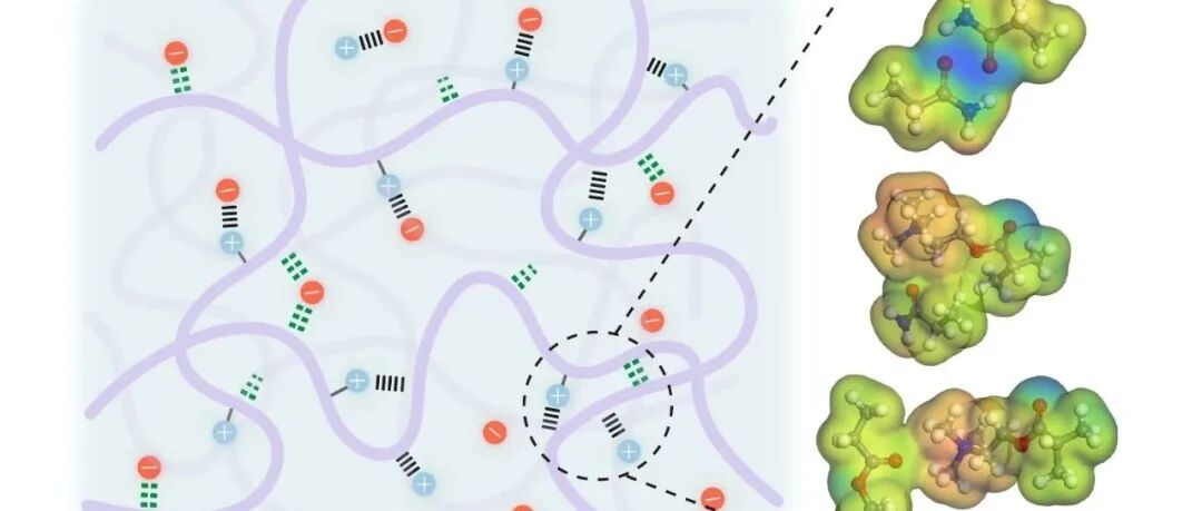【封面文章】南京大学曹毅教授课题组：强韧、透明、自愈合且具有优异的防潮性和抗冲击性的离子凝胶