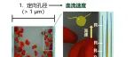 中山大学林倩明课题组 Small/Chem. Mater.：定向孔止血海绵中血流速率介导的凝血研究