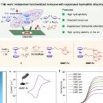 南方科技大学赵天寿院士团队JACS：空气稳定型二茂铁基正极以提升中性pH水系有机氧化还原液流电池性能
