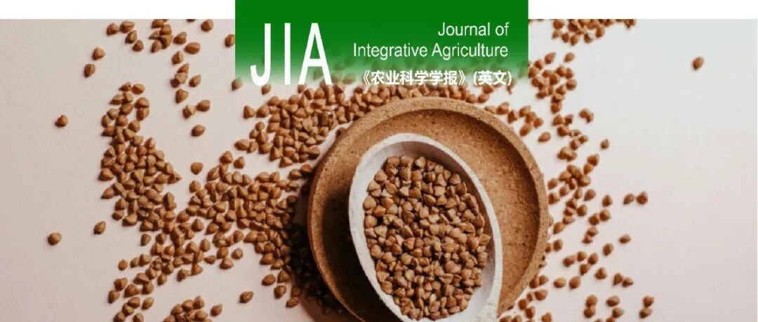 JIA | 中国农科院作科所荞麦基因资源创新研究组：苦荞麦糖转运体家族的进化和表达分析揭示FtERD23在干旱胁迫下的潜在功能