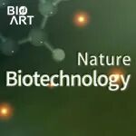 Nat Biotechnol&#160;|&#160;AI辅助微同源模板设计，助力外源基因精准定向整合