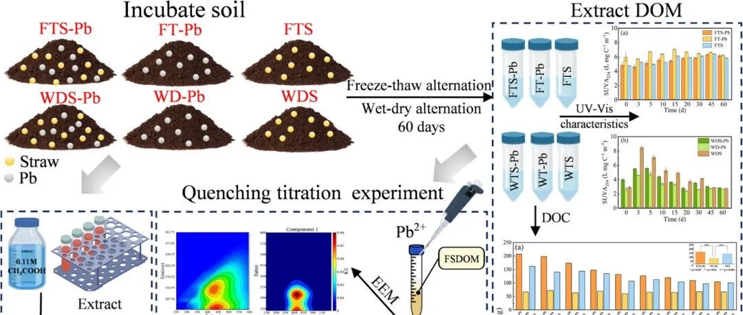 Carbon Research | 秸秆还田作用下寒地黑土DOM组分演变特征及其在气候变化驱动条件下与Pb的结合机制