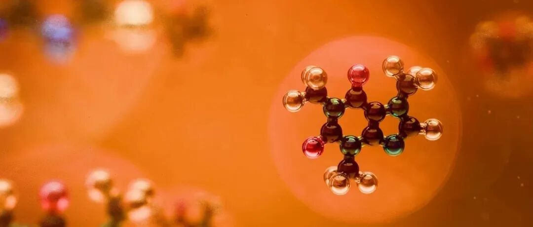 Adv Sci | 储成才团队揭示水稻通过钙信号调控硝酸盐利用分子机制