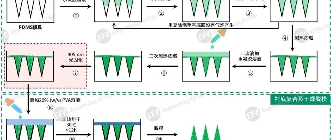 EFL微针制备解决方案V2.0