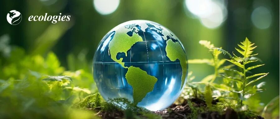 聚焦生态系统科学——Ecologies