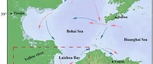 【视点】中国海洋大学胡日军课题组：从河流到海湾的沉积物有机碳来源变化及其对人类活动的响应