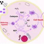 ACS Nano：杂化配体MOF可在乏氧肿瘤中通过放射-放射动力学-化学动力学疗法促进检查点阻断免疫治疗