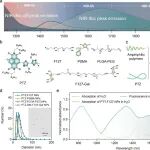 JACS：超亮1650 nm发射可生物降解有机发光团用于NIR-IIbc荧光成像
