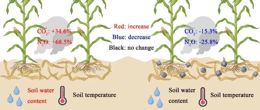 温室气体排放丨SOIL TILL RES：秸秆生物炭改良后夏玉米田温室气体排放与土壤理化性质的潜在关系