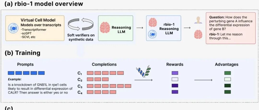 bioRxiv｜rbio1：不依赖实验数据，训练生物学推理大模型