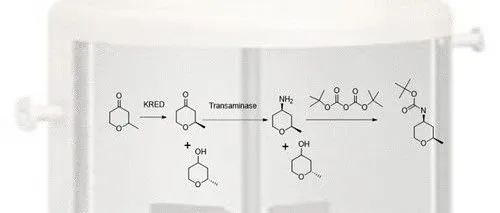 One-Pot Ketoreductase/Transaminase Process