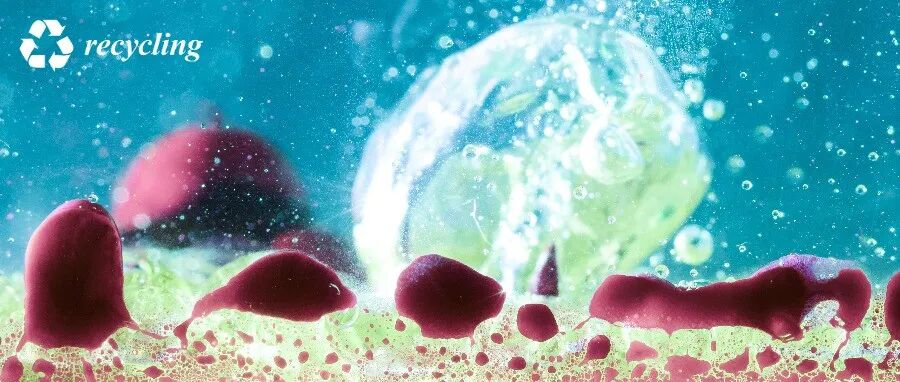 2023年封面文章荐读 (二)：古菌在电子废物资源化中的作用机制 | MDPI Recycling