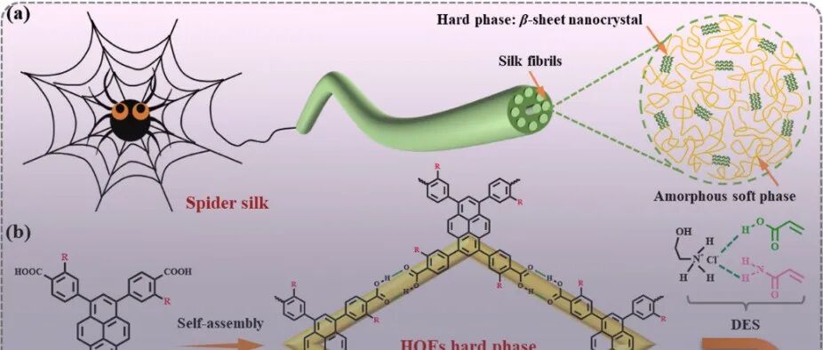 河北工业大学王瑞虎/王丹 Angew：多重非共价作用介导能量耗散调制的氢键有机框架水凝胶助力可穿戴手势识别