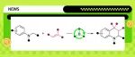 【Org. Lett.】莱斯特大学Pulis组：B(C&#8326;F&#8325;)&#8323; 催化N-烷基芳胺和烯烃的偶联以合成四氢喹啉类化合物