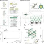 中国科学院物理所：胡勇胜，钠离子电池 | Nature Energy