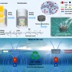 北华大学张明课题组Carbohyd. Polym.：一种高耐盐磁控光热生物质基多孔复合材料用于太阳能驱动污染海水净化的可行策略