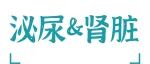 Kidney Int丨刘志红团队揭示内质网应激调控新机制，提出糖尿病肾病干预新策略