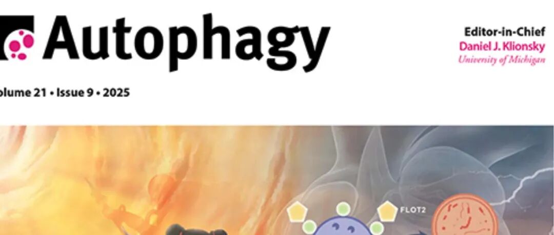 Autophagy｜中国农业大学武振龙教授团队在沙门氏菌免疫逃逸方面取得重要进展