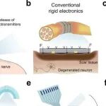 Adv Mater | 南方科技大学刘吉研究开发的全水凝胶生物电子器件可实现低电压迷走神经刺激