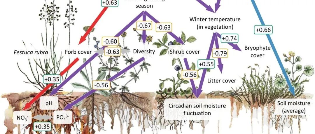 寒地土壤微生物丨GLOBAL CHANGE BIOL：温度和降水共同塑造植物微生物组，通过调节生长季节的开始时间