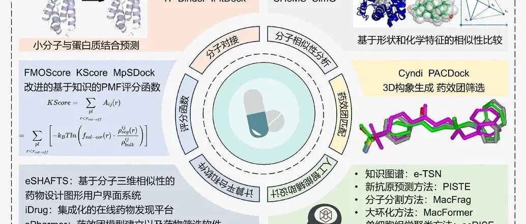 《中国科学：化学》｜华东师范大学李洪林等：药物潜在靶标识别与药物设计方法研究