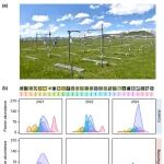 New Phytologist| 兰州大学生态学院科研团队揭示气候变暖下高寒草甸植物开花物候差异及生态影响
