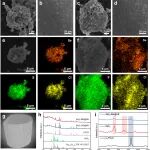 华南理工大学刘军教授ACS Nano：阴极工程构筑稳固界面以实现高性能全硫化物基Li-SeS2固态电池