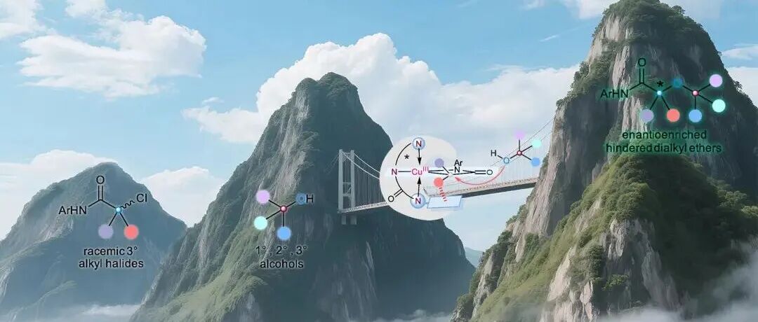 南科大刘心元团队在脂肪醇的不对称O-烷基化领域取得重要进展