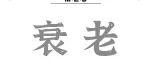 Aging Cell丨孙宇组发现衰老细胞3D基因组表观调控关键机制和衰老干预新靶点