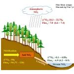 Environmental Science & Technology | 森林生态系统尺度硝化作用速率的研究