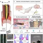 Nature Commun：完全生物相容性的热拉纤维超级电容器，用于长期生物植入