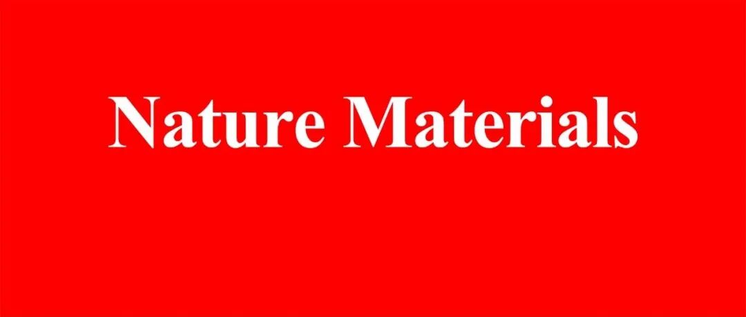 朱美芳院士领衔！苏州大学，最新Nature Materials！