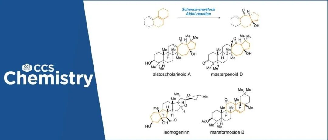 吴晶晶/薛小松：新型仿生Schenck-ene/Hock/aldol串联重排反应及其在天然产物合成与骨架编辑中的应用