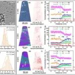 长安大学《Acta Materialia》通过定制和调控局部有序氧结构来克服钛合金的强度-延展性权衡难题