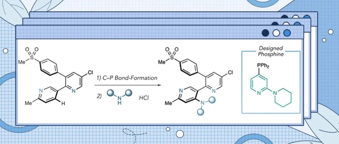 【Angew. Chem.】科罗拉多州立大学Andrew McNally：利用电子调谐磷化氢试剂胺化吖嗪的广泛适用策略