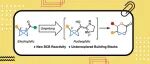 【Angew. Chem.】印第安纳大学/SpiroChem：通过 N-杂环卡宾催化双环丁烷的极性反转活化作用