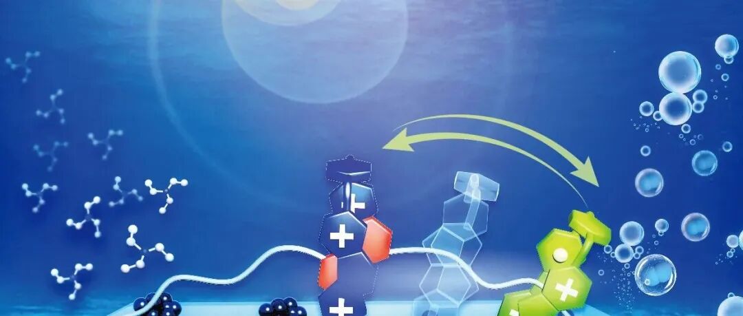 Sci. China Chem. 2025年第9期目录