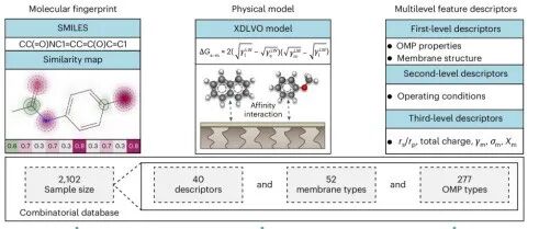 浙江大学张林团队Nature Sustainability：“数据-机制”双驱动净水膜迈向智造时代