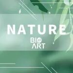 Nature&#160;|&#160;雌激素调控铁死亡：揭示性别差异下的肾脏保护机制