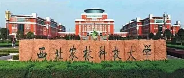农林高校首个！西北农林科技大学成立新学院