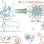 ACS Nano | 西安交通大学杨哲/田中民研究开发的无载体光化学联合纳米前药可增强低剂量吉西他滨的化疗免疫调节效应