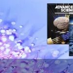 Adv Sci | 惰性元素助力实现环状O&#8326;分子