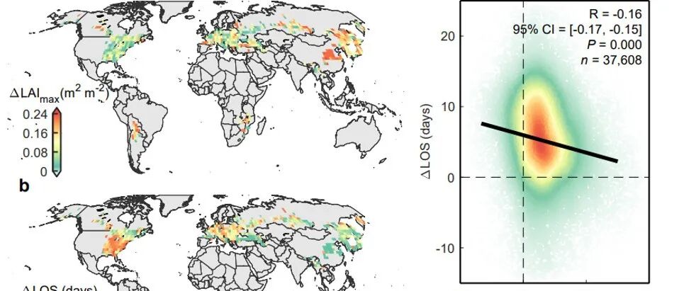 Nature Plants | 中山大学陈修治教授团队揭示全球变绿背景下不同林龄落叶阔叶林的叶片适应策略差异