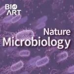 Nat Microbiol | 石桂秀/刘源团队揭示Vientovirus衣壳蛋白模拟自身抗原促进自身免疫