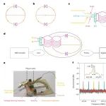 研究进展：无线集成传感器WISDEM-脑电图/fMRI同步信号采集 | Nature Methods