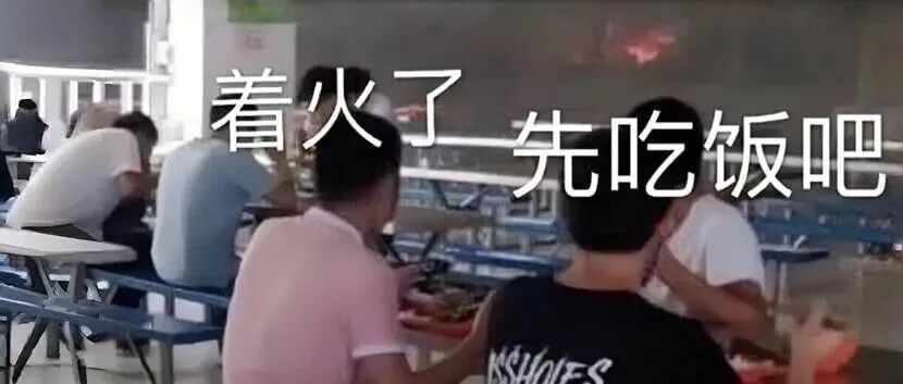 别让肠道微生物“罢工”，否则你的心情会崩！