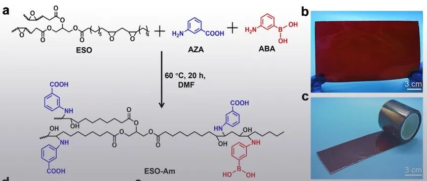 吉林大学孙俊奇教授课题组《Adv. Mater.》：具有超高水下粘合强度的可按需擦除两栖粘合剂
