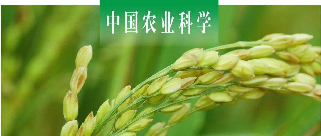 中国农业科学｜浙江大学现代种业研究所舒庆尧课题组揭示籼稻品种逆转座子Tos17的基因组分布与转座活性