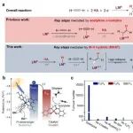 上海交大《Nature Catalysis》：实现聚合级乙烯的连续生产！